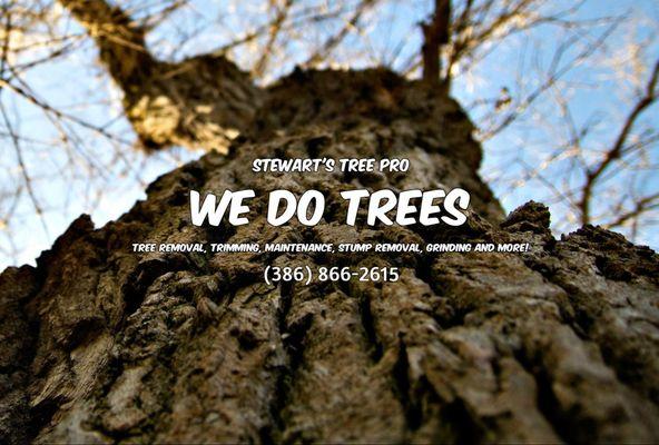 Stewart's Tree Pro