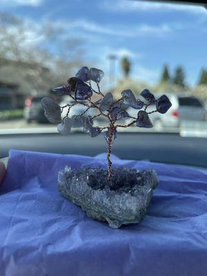 Lucky Amethyst Tree