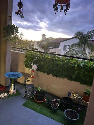 My little garden