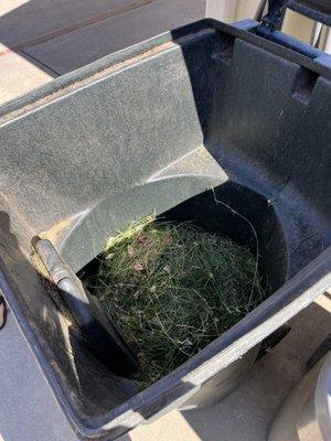 The green bin almost empty after one of their visits.