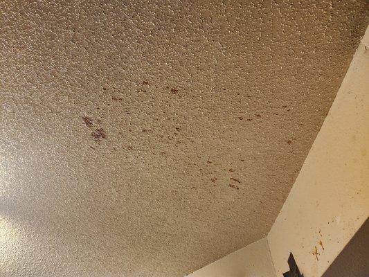 Mold on ceiling in living room.