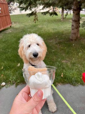 Pup cup