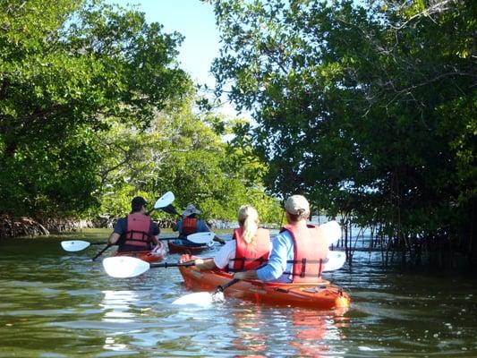 Rookery Bay Tours