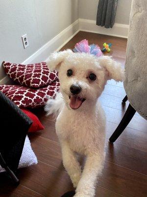 Cute haircut and bow