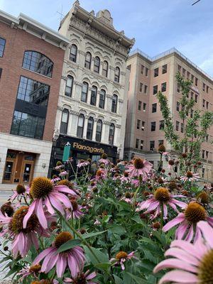 Downtown Grand Rapids