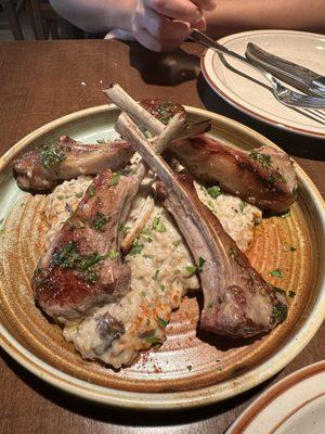 Rack of lamb and risotto