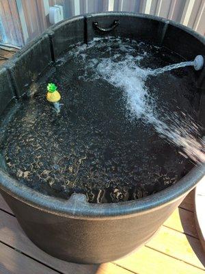 Ice bath tub