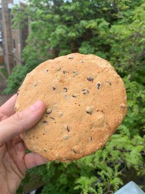 Chocolate chip cookie