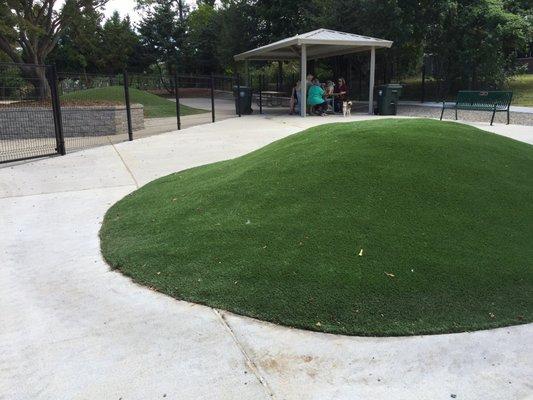 AstroTurf areas are provided for both large and small dogs