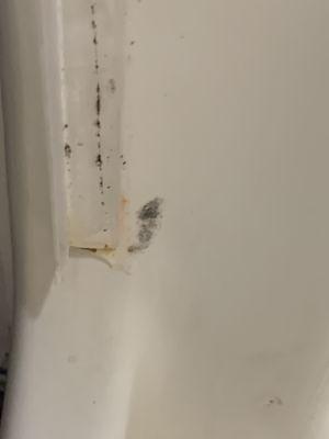 Mold in shower