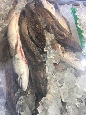 Fresh whiting cook too order