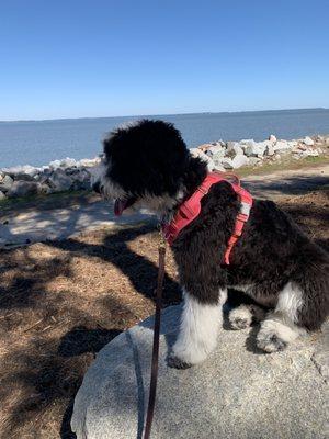 Bo Peep practicing "place" on the Bluff