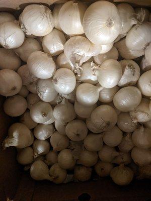 One of my Deals 10lbs of small white onions $3.00