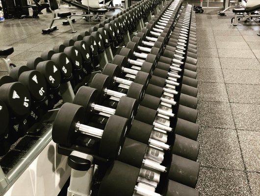 Free weight dumbbells 5-150lbs.