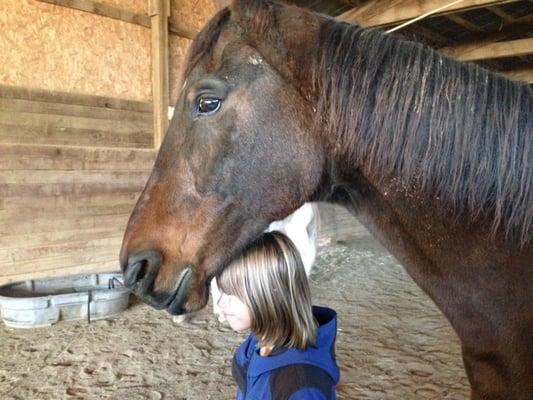 Equine Assisted Therapy for all ages and groups