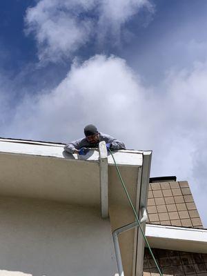 Beam treatment for termites