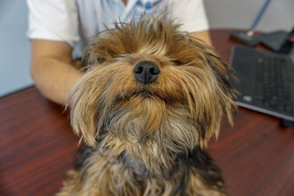 You'll have this cute face greeting you after the lesson :)