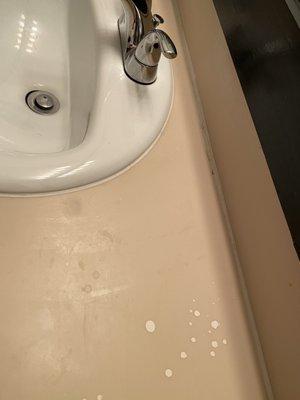 Disgusting sink