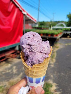 Blackberry goat cheese with honey ice cream, delicious