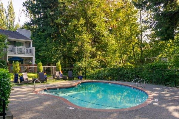 Community swimming pool featuring lounge chair seating and surrounding greenery.