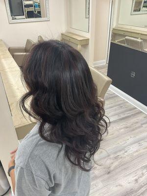 Hair Coloring Service Online Salon Booking Scheduling Highlights Hair Cuts Keratin Blow Outs Dry Bar