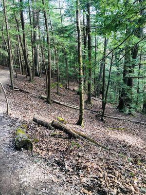 Hocking hills hiking