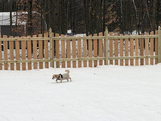 Alpine Fence