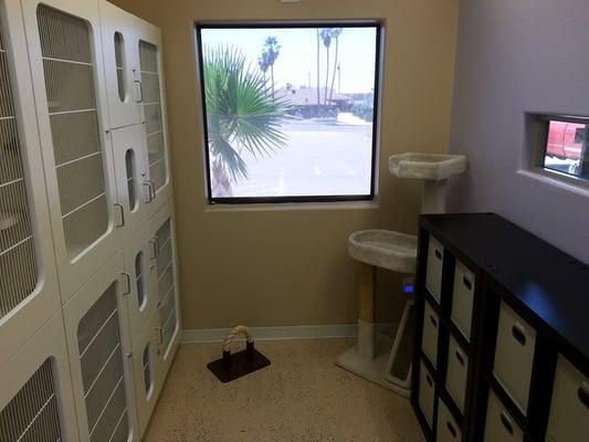 The cat room is separate from the dog area.  It's quiet, clean and has a bright window for your kitties entertainment!