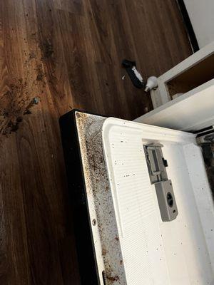 Roaches get everywhere. Let Absolute Pest Control take care of you!