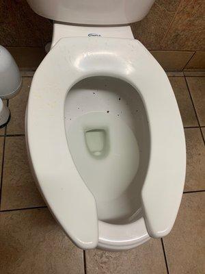 Urine on seat, unclean bowl.