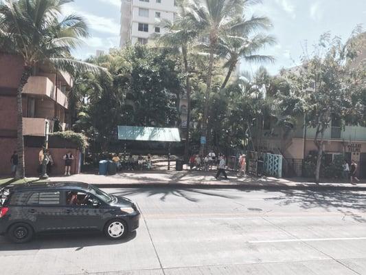 Beautiful little mini park located on Kuhio ave.