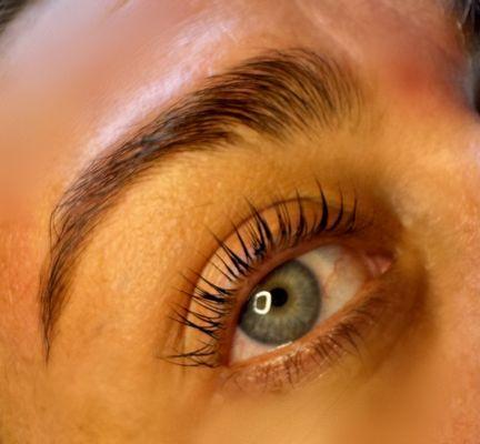 Lash lift tint + brow lamination tint