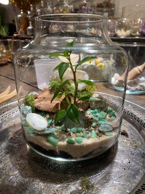 Build your own terrarium