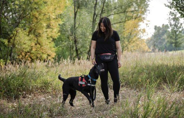 Psychiatric Service Dog Training for Anxiety available