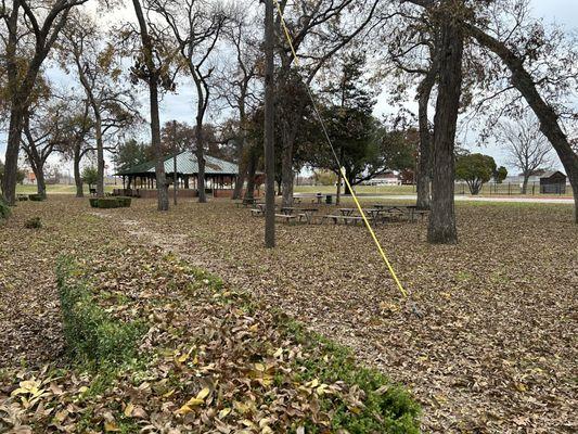 Picnic tables, covered pavilion, grills