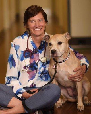 Mona Rosenberg, DVM, DACVIM (Oncology), medical director and founder of of Veterinary Cancer Group relaxes here with a canine friend.