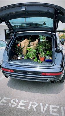 Car full of new plants!