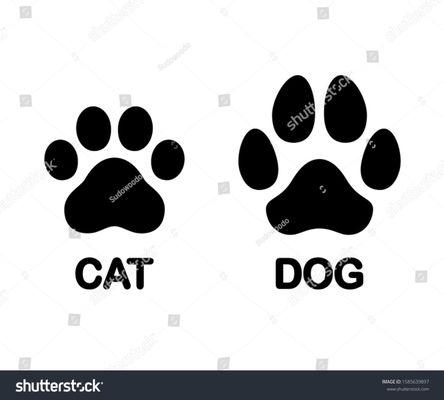 difference between a cat print and a dog print