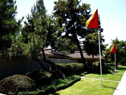 Monterey Pines Apartments