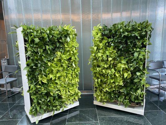 Mobile Plant Walls