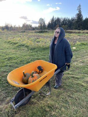 Wheeling our pumpkins around the fields at Ashley Creek Farm, late Oct. 2022.