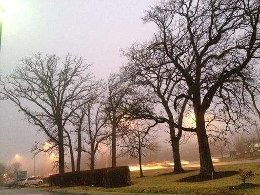 You can even find beauty at a Walgreens parking lot. :)