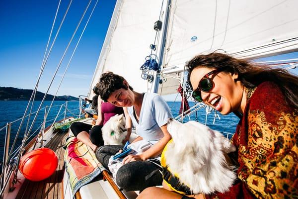 Sailing from Treasure Island to Sausalito.