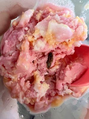 Cockroach in my kid ice cream