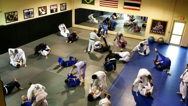 Ohana Adult Brazilian Jiu-Jitsu