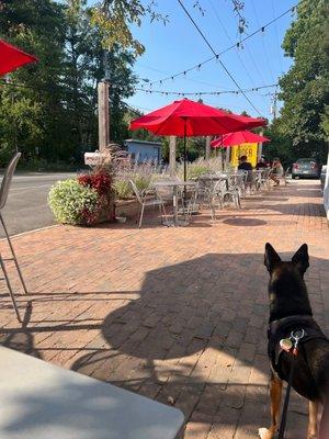 Dog-friendly patio area