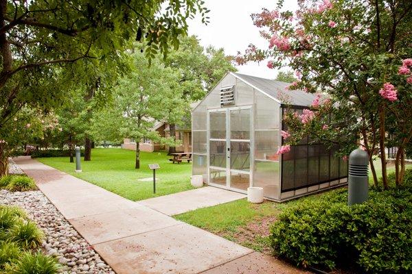 Greenhouse and walking path