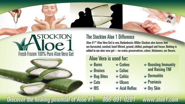 Stockton Aloe 1, Inc.
500 S. Cypress Road #4
Pompano Beach, FL 33060
Local (954)532-0792
www.aloe1.com