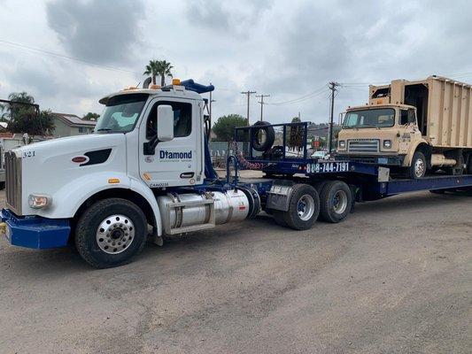 Diamond saving history again! Dickson disposal 1974 international garbage truck delivered to the historic Motor Transport Museum in Campo.