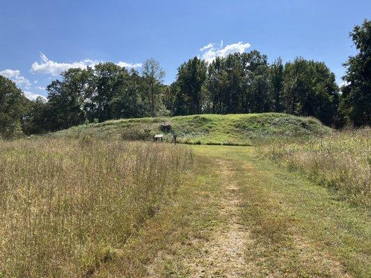 Citadel area mound... worth the hike